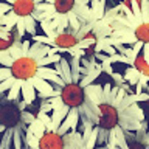 Meet your Posher, Flora